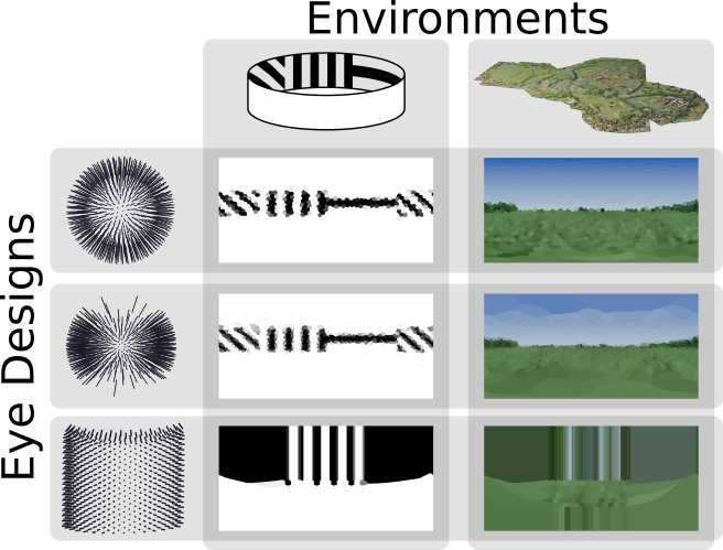 Images of scenes rendered from an insect perspective using CompoundRay